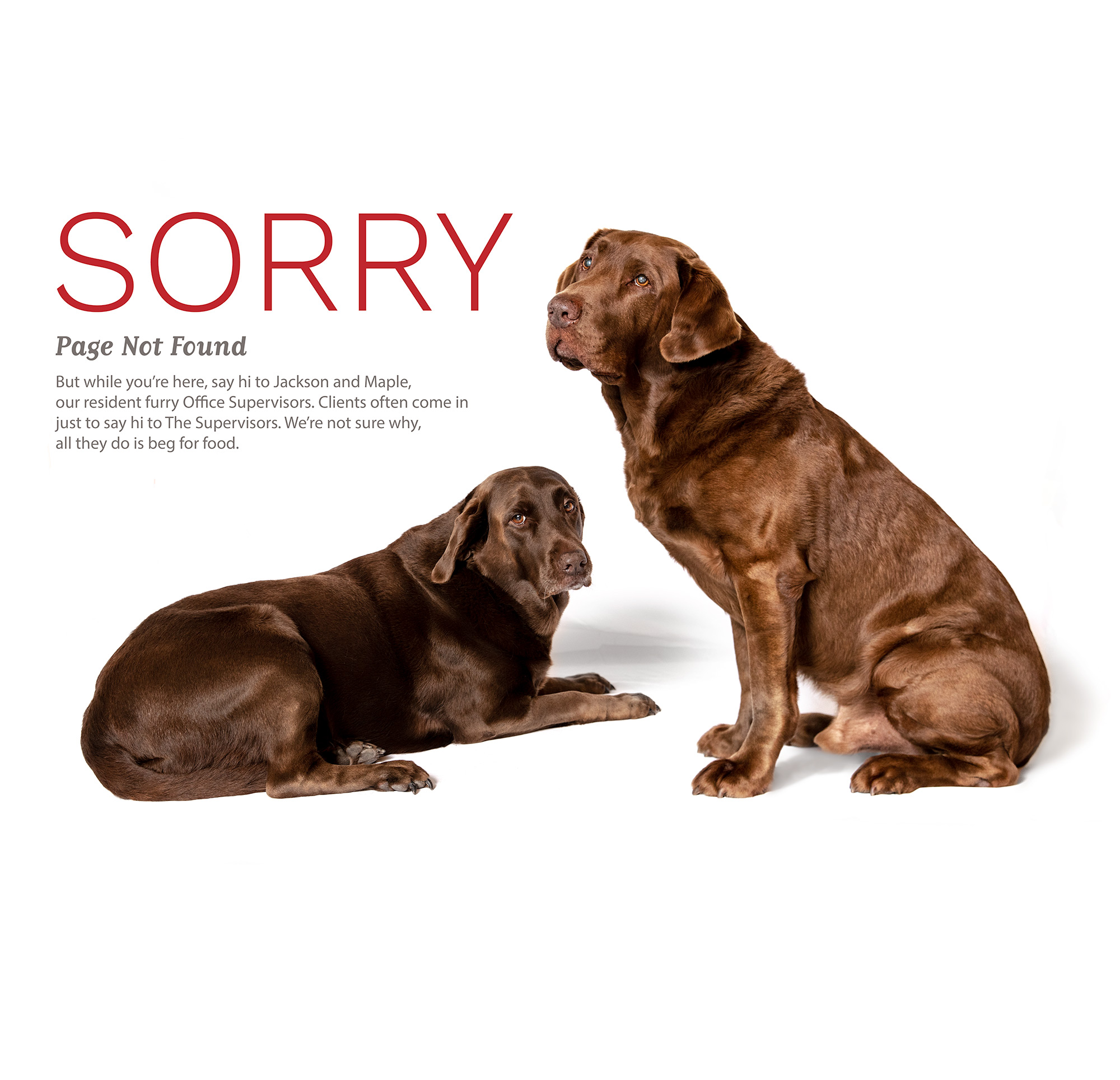 sorry-mobile