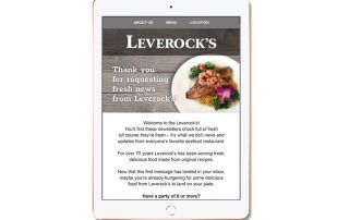 Leverock's Email Template Design - Southwest Florida