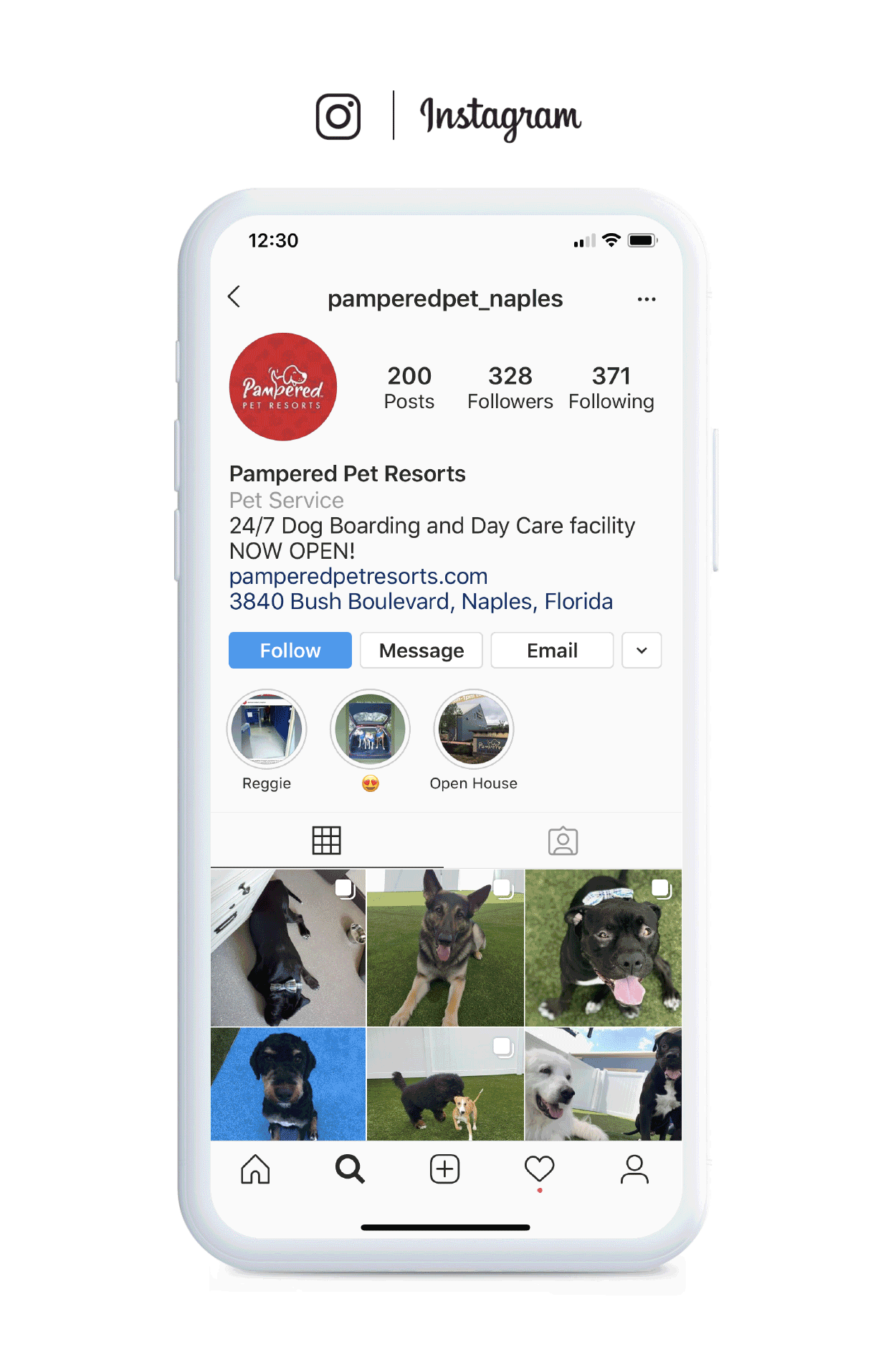 Pampered Pet Resorts - Instagram Social Media Marketing