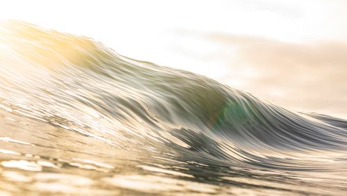 modern marketing leadership agency, Naples Florida